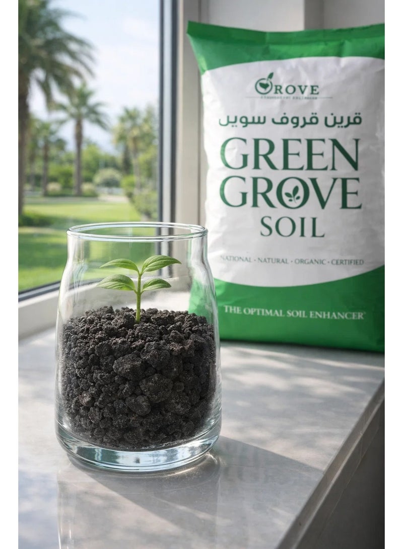 Green grove soil for agriculture - Image 1